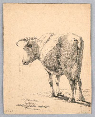 Kuh von Unknown artist