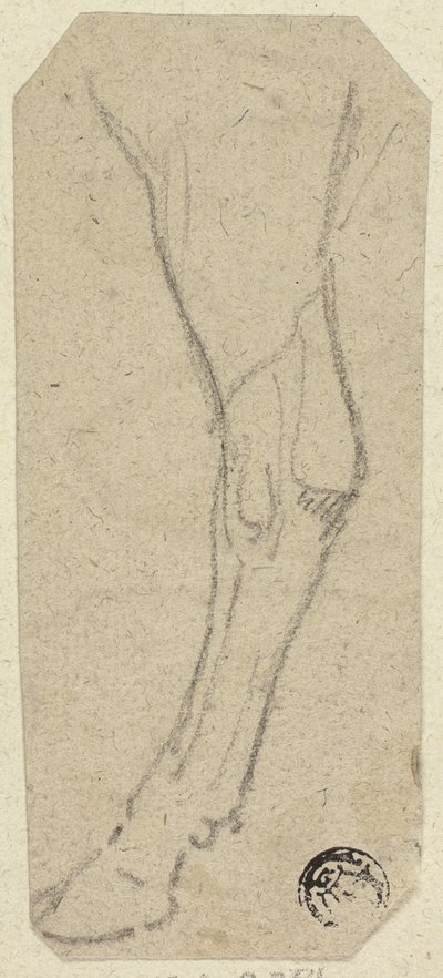 Kuhbein von Unknown artist