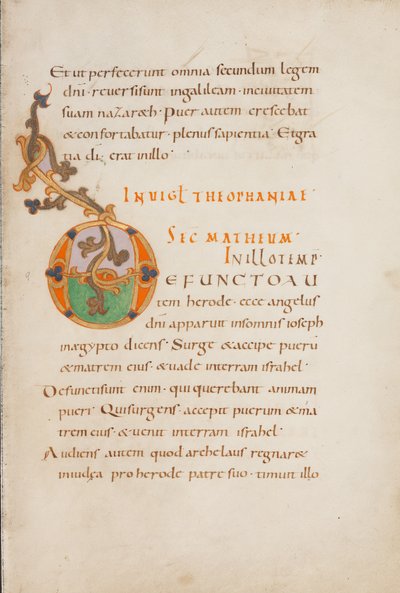 Dekorierte Initiale D von Unknown artist