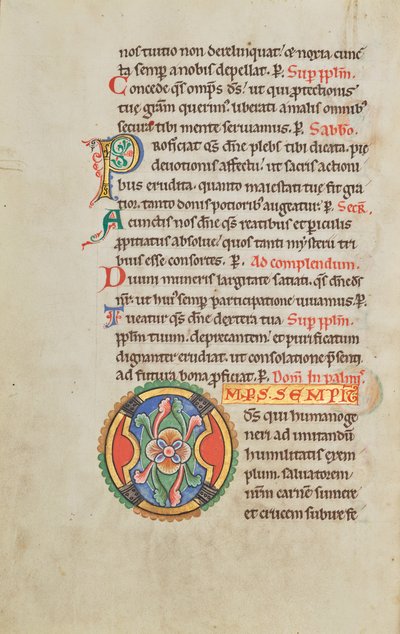 Geschmücktes Initial O von Unknown artist
