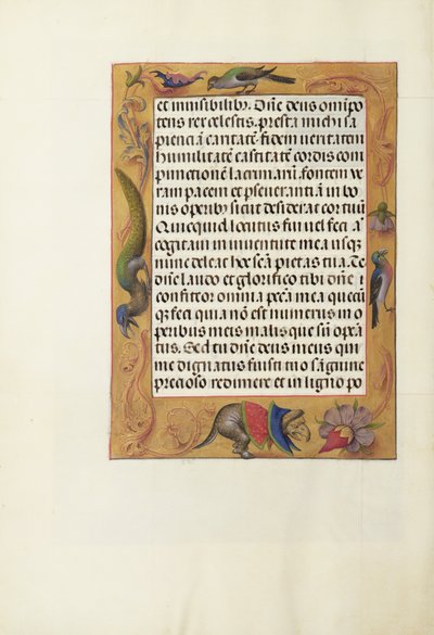Dekorierte Textseite von Unknown artist