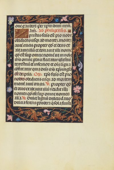 Dekorierte Textseite von Unknown artist