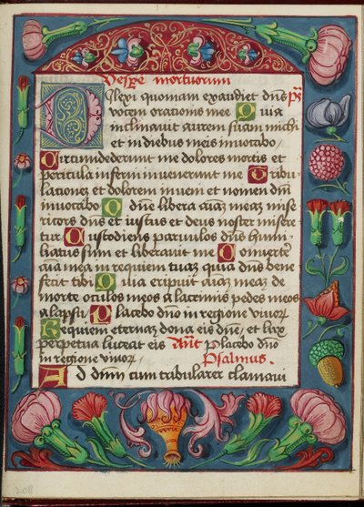 Geschmückte Textseite von Unknown artist