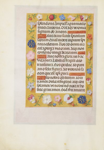 Dekorierte Textseite von Unknown artist