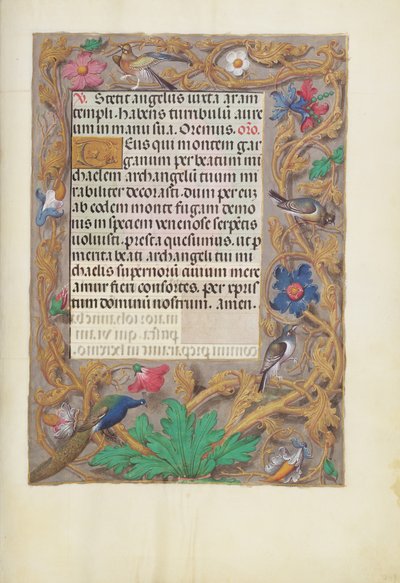 Geschmückte Textseite von Unknown artist