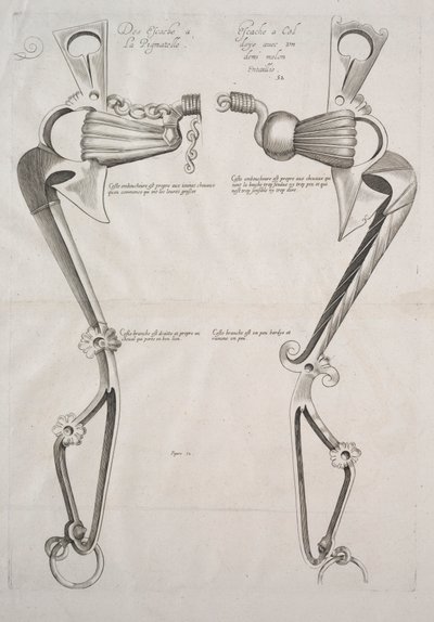 Diagramm für ein Pferdegebiss von Unknown artist