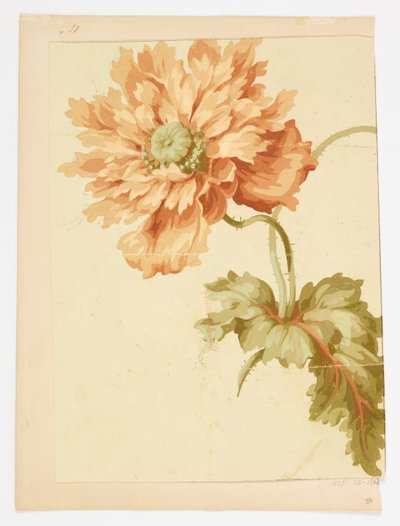 Zeichnung von Unknown artist