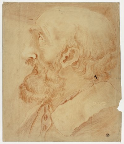 Kopf eines bärtigen Mannes im Profil von Unknown artist