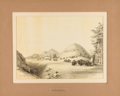 Jäger, die Büffel verfolgen--Nr. 11 von Unknown artist
