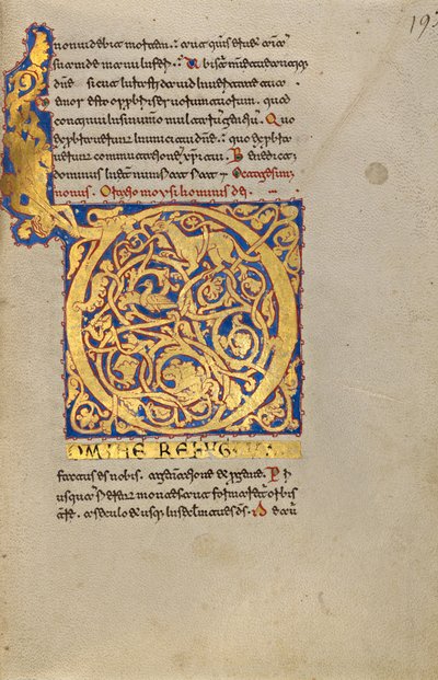 Bewohnter Initialbuchstabe D von Unknown artist