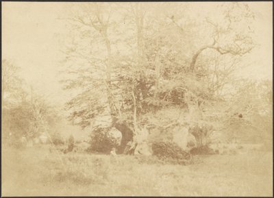[Landschaft] von Unknown artist