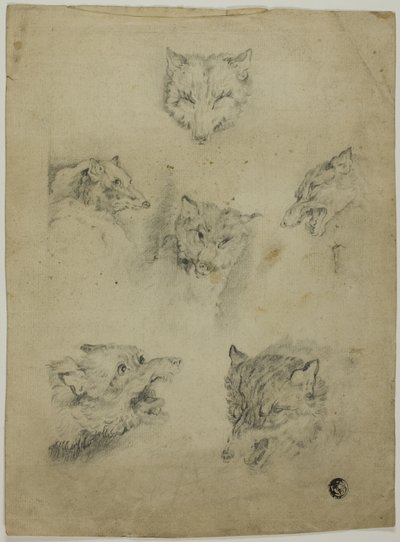 Sechs Skizzen von Wolfsköpfen von Unknown artist