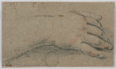 Studie: Die rechte Hand einer Frau von Unknown artist