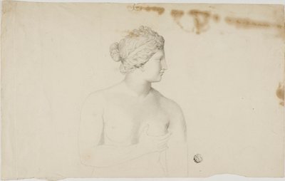 Studie der Medici Venus von Unknown artist