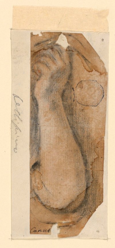 Der erhobene Unterarm einer Frau von Unknown artist