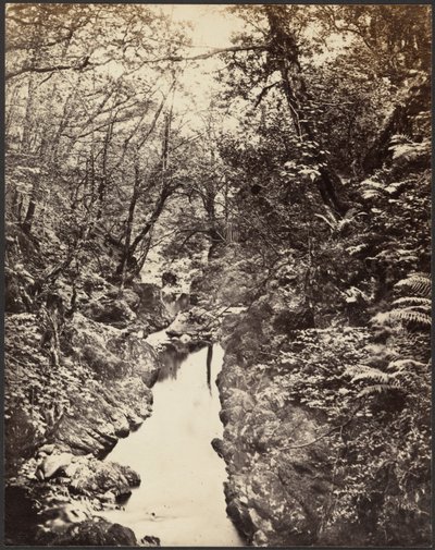 Waldlandschaft mit Bach von Unknown artist