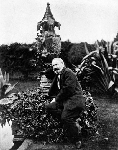 Porträt von Victor Hugo von Unknown photographer
