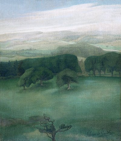 Berge in Cardiganshire von Valerius de Saedeleer