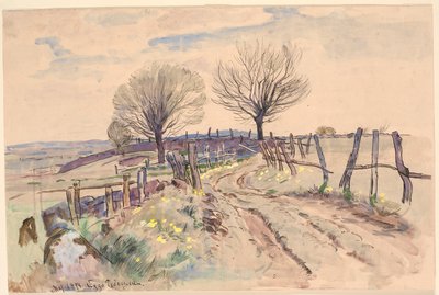 Landschaft mit Feldweg von Viggo Pedersen