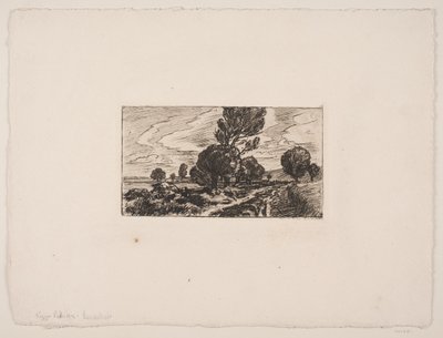 Weg durch das Moor von Viggo Pedersen