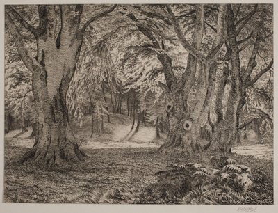 Das Innere eines Waldes von Vilhelm Kyhn