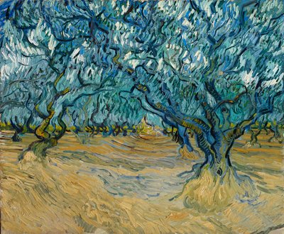 Der Olivenhain, Saint-Rémy, 1889 von Vincent van Gogh