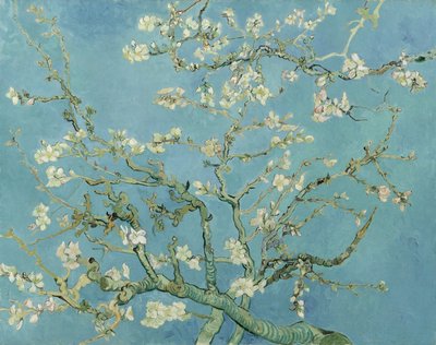 Mandelblüte von Vincent van Gogh