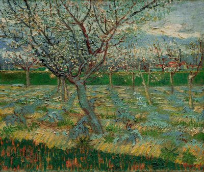 Blühender Obstgarten mit Aprikosenbäumen von Vincent van Gogh