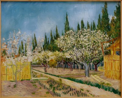Blühender Obstgarten, von Zypressen umgeben von Vincent van Gogh