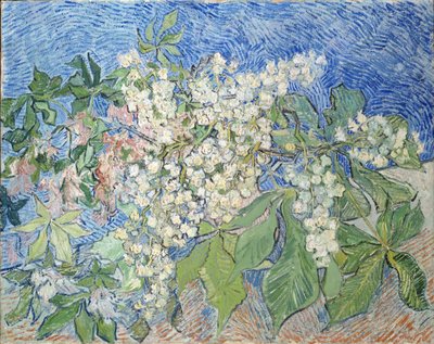 Kastanienzweige in Blüte, 1890 von Vincent van Gogh