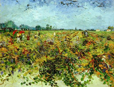 Der grüne Weingarten von Vincent van Gogh