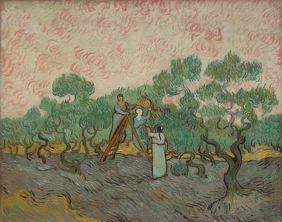 Frauen bei der Olivenernte. 1889 von Vincent van Gogh
