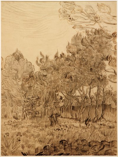 Im Park der Heilanstalt von Vincent van Gogh