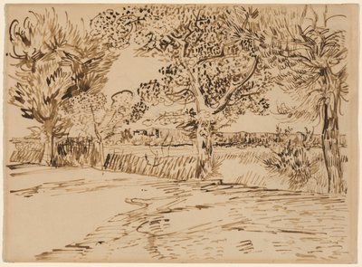 Landschaft bei Arles von Vincent van Gogh