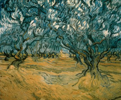 Olivenbäume von Vincent van Gogh