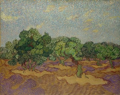 Olivenbäume, 1889 von Vincent van Gogh