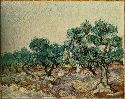 Olivenpflücker von Vincent van Gogh