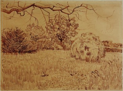 Park mit Strauch von Vincent van Gogh