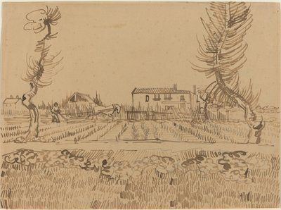 Pflüger auf den Feldern bei Arles von Vincent van Gogh