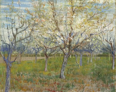 Rosa Obstgarten von Vincent van Gogh