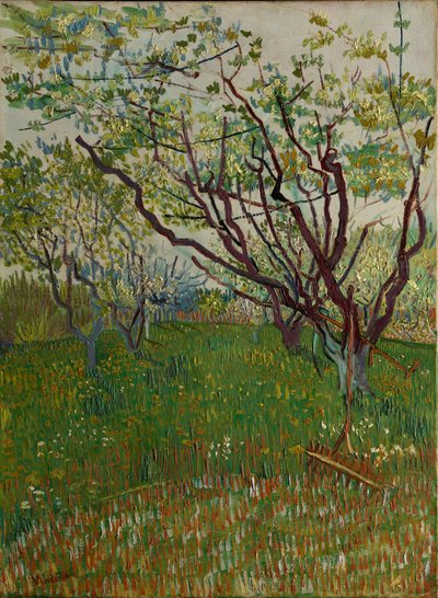 Der blühende Obstgarten, 1888 von Vincent van Gogh