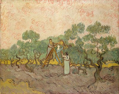 Die Olivenernter, Saint-Remy von Vincent van Gogh