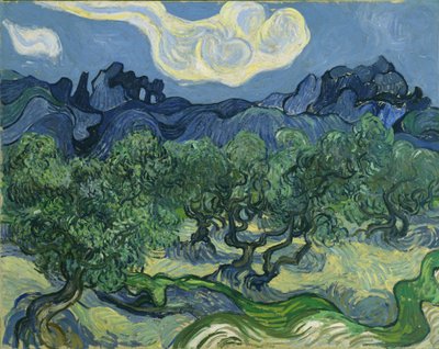 Die Olivenbäume von Vincent van Gogh