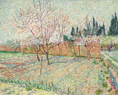 Obstgarten mit Zypressen von Vincent van Gogh