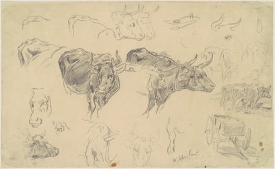 Studien von Ochsen von Walter Shirlaw
