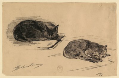 Studie von Katzen von Walter Shirlaw