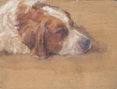 Hundekopf (Studie) von Walther Gamerith