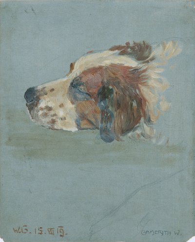 Hundekopf von Walther Gamerith