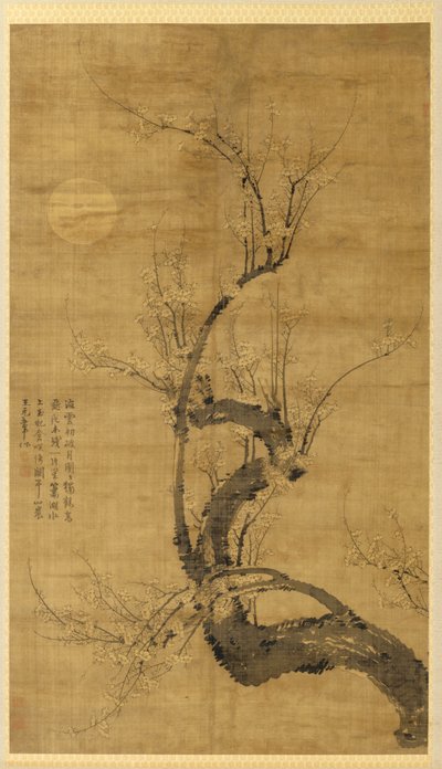 Ein Prunus im Mondlicht von Wang Mian