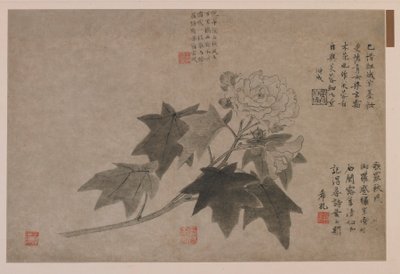 Hibiskus, 1347 von Wang Yuan